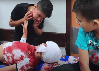 قالت منظمة الأمم المتحدة للطفولة "يونيسيف" إن حياة مليون طفل في غزة باتت "معلقة بخيط رفيع" مع انهيار الخدمات الصحية للأطفال تقريبا في أنحاء القطاع.