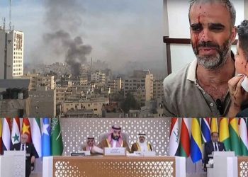 Arab and Islamic Summit must take serious decisions to stop the Israeli aggression