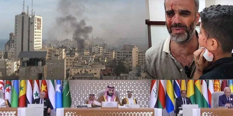 Arab and Islamic Summit must take serious decisions to stop the Israeli aggression