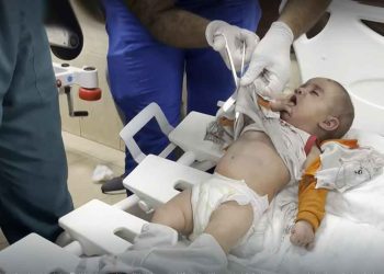 الإبادة الجماعية مستمرة في قطاع غزة لليوم التاسع والعشرين على التوالي