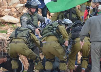 صورة من الارشيف