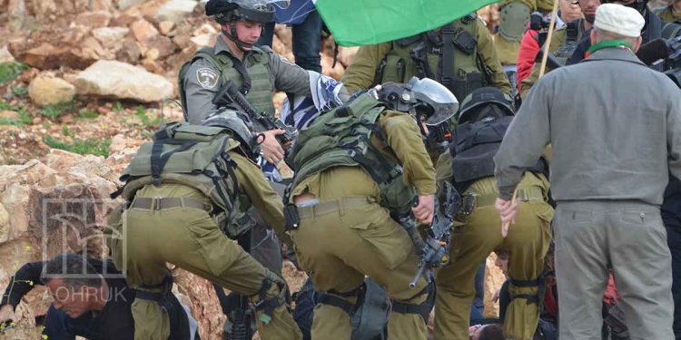 صورة من الارشيف