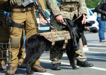 51 Palestinians Arrested in IOF West Bank Raids
