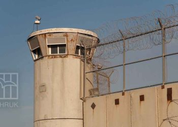 الاحتلال يعتقل 10 سيدات من غزة في ظروف سيئة للغاية