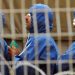Palestinian prisoners subjected to heinous crimes amid war crimes in Gaza
