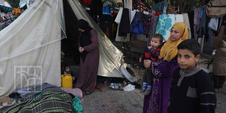 World Health Organization warns of increasing risk of infectious disease spreading in Gaza