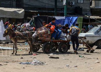 “80 per cent of children are experiencing severe food poverty in Gaza”