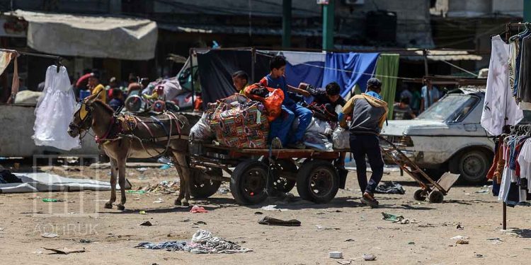 “80 per cent of children are experiencing severe food poverty in Gaza”