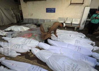 إعدامات ميدانية لمدنيين ونساء حوامل في غزة