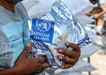 UNRWA: 133 staffers killed in Gaza amid untenable humanitarian situation