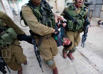 صورة من الارشيف