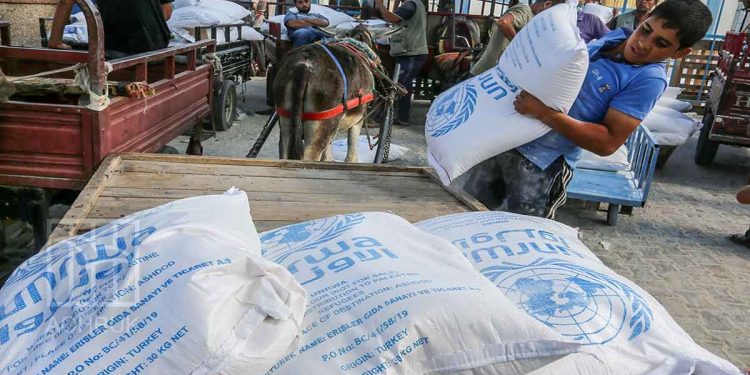 Western countries freezing funding for UNRWA confirm involvement in genocide