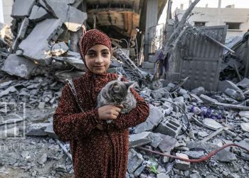 الاحتلال الإسرائيلي يواصل حرب الإبادة التي يشنها على قطاع غزة