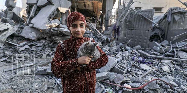 الاحتلال الإسرائيلي يواصل حرب الإبادة التي يشنها على قطاع غزة