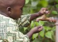 18 Million People Face “Acute Hunger” in Sudan