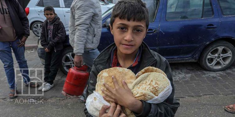 الاحتلال يقتل أكثر من 127 فلسطينياً بـ"مجازر الطحين"
