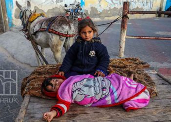 31% من أطفال شمال غزة يعانون سوء التغذية الحاد