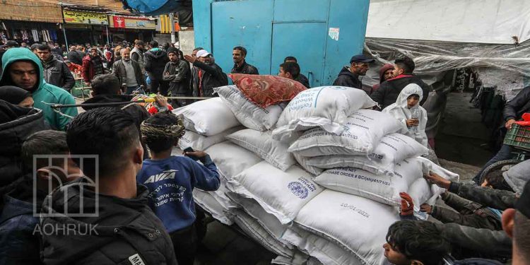 صورة من الارشيف