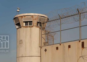 صورة من الارشيف