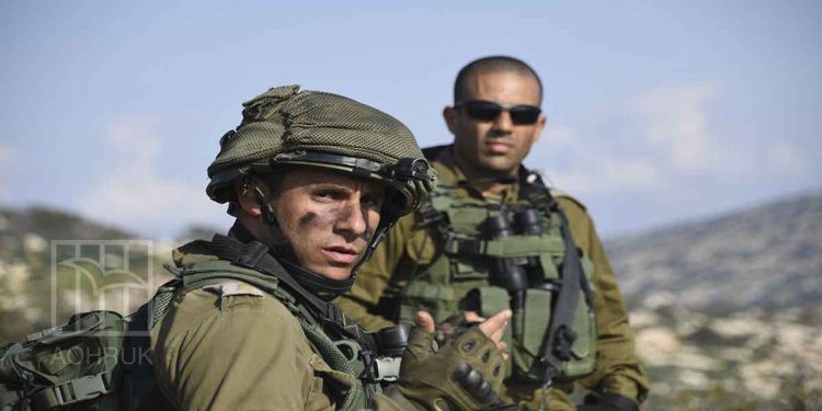 IOA confiscates 8,000 dunums of land in Jordan Valley