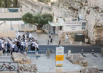 صورة من الارشيف