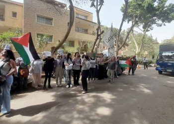 Egyptian security forces crackdown on a feminist protest and arrest protesters