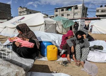 IOF kills 4 children every hour in Gaza