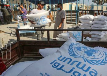 صورة من الارشيف