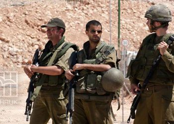 More than 8,590 West Bank Palestinians arrested since 7 Oct.