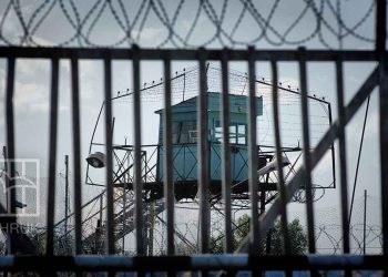 صورة من الارشيف