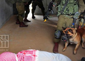 صورة من الارشيف