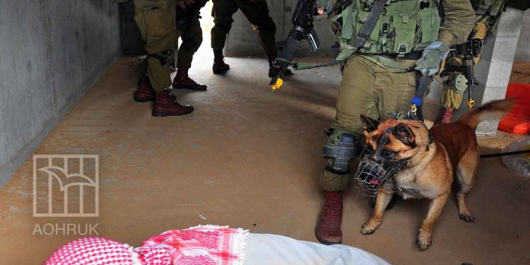 صورة من الارشيف