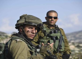 UN must freeze Israel’s membership and take immediate measures to hold IOF accountable