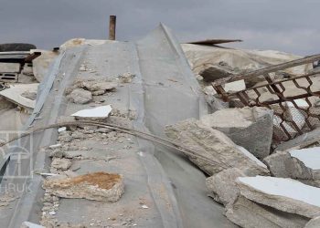 صورة من الارشيف