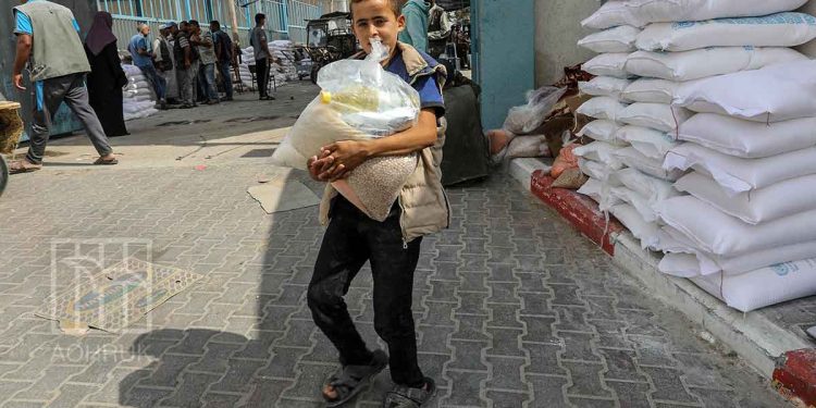 صورة من الارشيف
