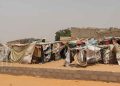 صورة من الارشيف