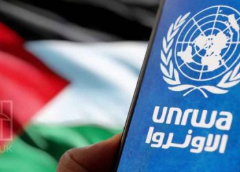 UNRWA: IOF kills 205 aid workers in Gaza