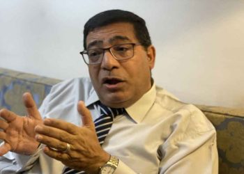 الخبير المصري الاقتصادي عبدالخالق فاروق