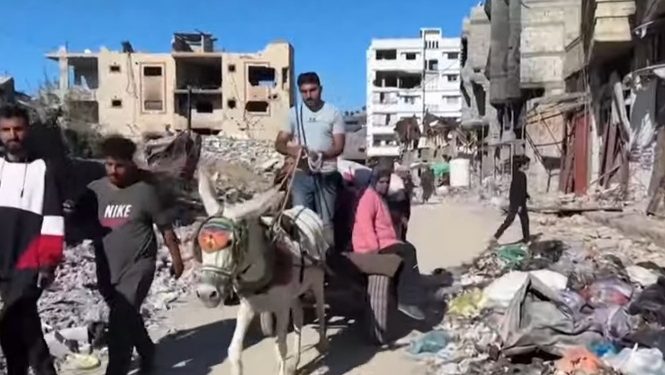 Genocide in the northern Gaza Strip is not inevitable and action must be taken