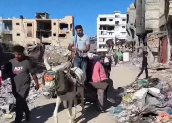 الإبادة في شمال قطاع غزة ليست قدرًا محتومًا… لا بد من التحرك