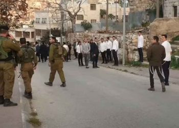 جرائم بلا رادع.. المستوطنون يواصلون الاعتداء على الفلسطينيين وممتلكاتهم