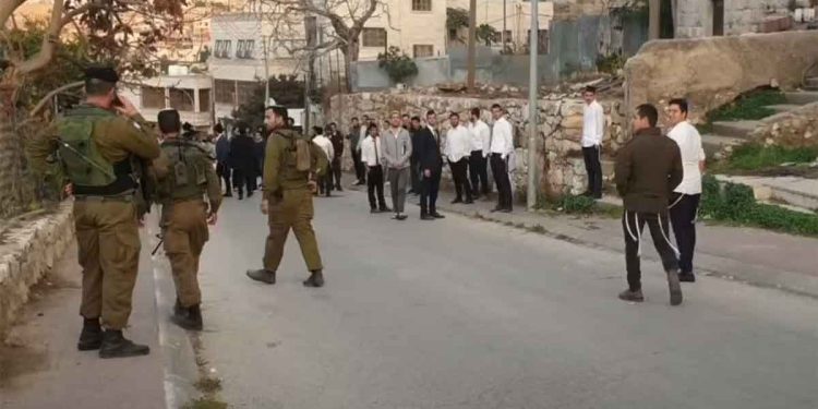 جرائم بلا رادع.. المستوطنون يواصلون الاعتداء على الفلسطينيين وممتلكاتهم