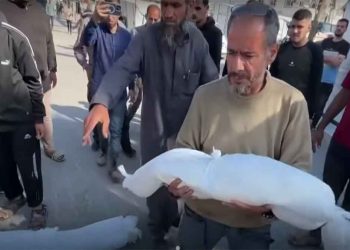 غزة.. عشرات القتلى والجرحى جراء القصف المتواصل من الاحتلال