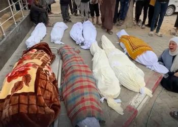 الاحتلال ينهي حياة 17 فلسطينياً خلال ساعات في غزة