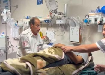 الإبادة الجماعية تتواصل.. 20 قتيلا خلال ساعات في قطاع غزة