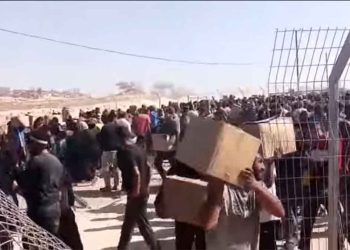 يجب حل “مؤسسة غزة” وملاحقة ومحاسبة القائمين عليها