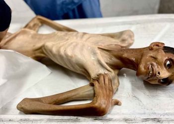 الشاب الفلسطيني عادل ماضي