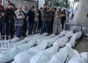 غزة.. 115 قتيلاً من الجوع ونداء عاجل لإنقاذ أكثر من مليوني إنسان