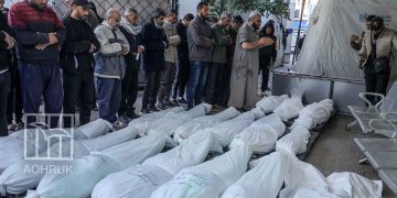 غزة.. 115 قتيلاً من الجوع ونداء عاجل لإنقاذ أكثر من مليوني إنسان