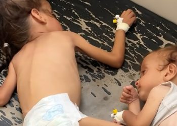 الأغذية العالمي: نصف مليون فلسطيني في غزة على شفا المجاعة